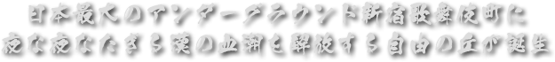 日本最大のアンダーグラウンド新宿歌舞伎町に夜な夜なたぎる漢の血潮を解放する自由の丘が誕生
